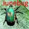 Modern Music Nashville - Junebug - Single